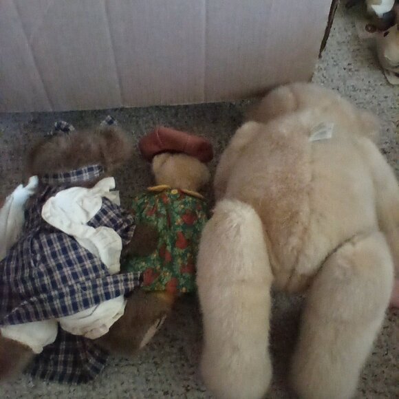 Boyd's bear - Picture 2 of 2